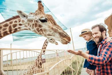 Da Cracovia: Gita allo zoo con trasferimento privato di lusso