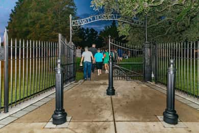 New Orleans: Tour dei fantasmi e dei cimiteri nella notte morta in autobus