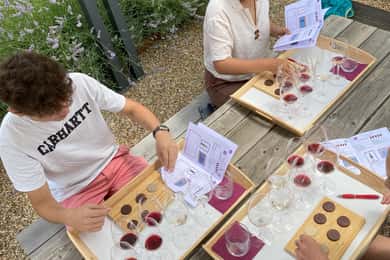Wine and Chocolate experience