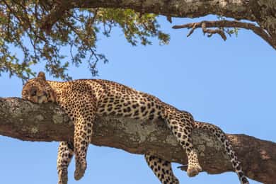 Sri Lanka Private 8-day Tour; Transport, Guide, Hotels, Food
