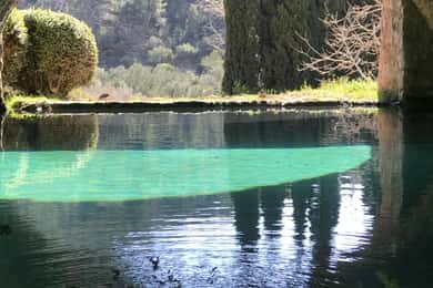 Les plus beaux jardins de Majorque
