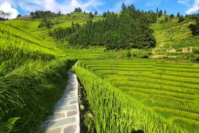 Rizières en terrasses de Longji : Visite d'une jounée privée au départ de Guilin