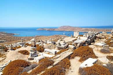 Delos and Mykonos One Day Cruise from Naxos