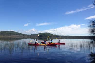 Gold Coast: Kayak Fishing Adventure