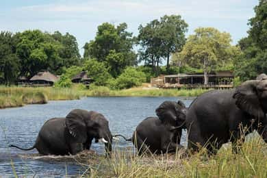 From Victoria Falls to Chobe National Park, Safari Adventure