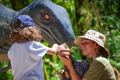 Porto Cristo: Dinosaurland & Cuevas dels Hams – kombibiljett