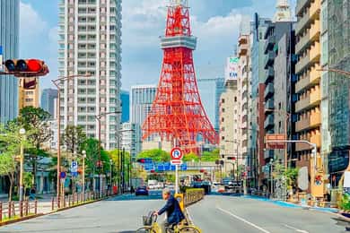 Tokyo: Sightseeing Tour with Private Luxury Vehicle
