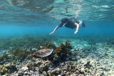 Praslin: Coco Felicite & La Digue Island Full-Day Boat Trip