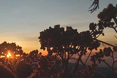 Trekking mount sangkareang (second summit of Rinjani 2D1N