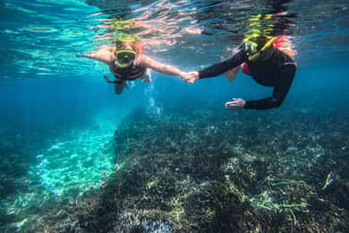 Sigiriya to Trincomalee: Whale Watching and Snorkeling Tour