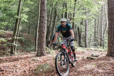 Sestri Levante: E-Bike Adventure among trails and breathtaking views