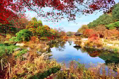 Seoul: Nami Island and Garden of Morning Calm opt Railbike