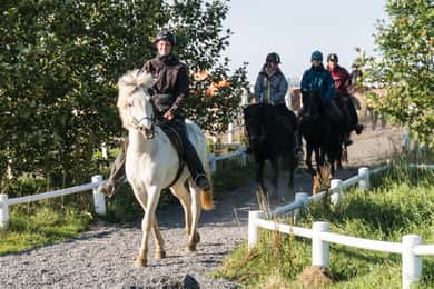Hveragerdi: La ruta a caballo de Siggi