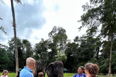 Vanuit Kuala Lumpur: Rondleiding door het olifantenreservaat