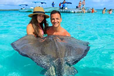 Antigua: Stingray City Experience with Round-Trip Transfer