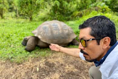 Puerto Ayora: A experiência partilhada da tartaruga gigante das Galápagos