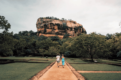 Sigiriya Rock & Minneriya Safari Private Day Trip