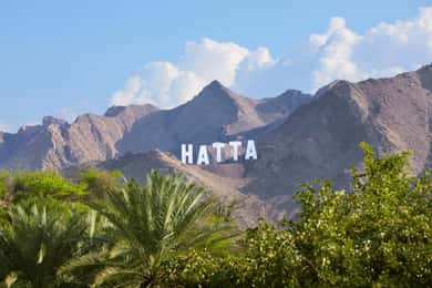 Vanuit Dubai: Hatta Sightseeing Tour met kajakken