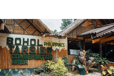 Bohol: Choco Tour + Rio Verde Lunch Buffet