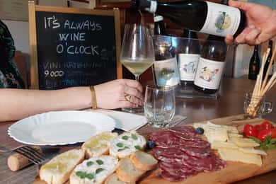 Pozzolengo: Prehliadka viníc a degustácia typických vín z oblasti Garda