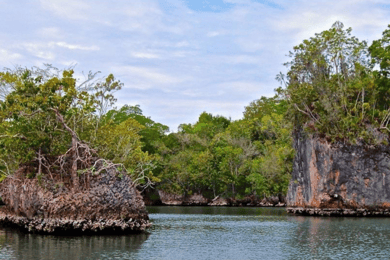 Samaná: Los Haitises and Cayo Levantado with Hotel Stay