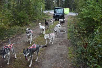 Luleå: Utbildning Husky Team