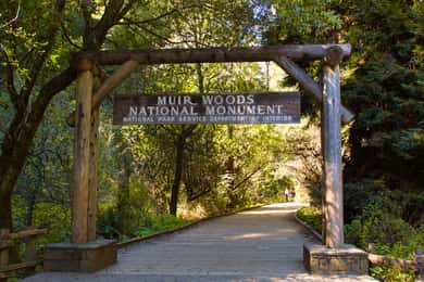 SF: Muir Woods, Sausalito, Golden Gate Bridge Tour particular