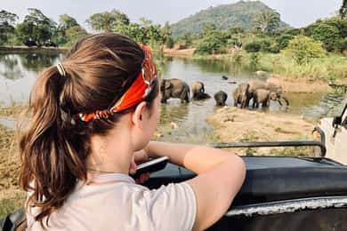 Hurulu Eco Park Habarana Safari com elefantes selvagens