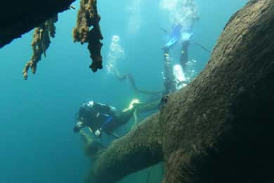 Bariloche: Diving baptism in Moreno Lake
