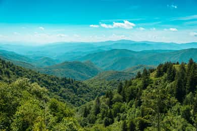 Pigeon Forge: Sights of the Smokies Guided Tour