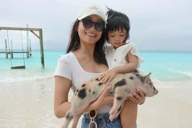 Excursion en quad et cochons nageurs à Nassau