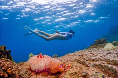 Bangkok: Excursión de un día a la Isla de Nemo con fotos de drones y almuerzo