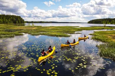Rovaniemi: Authentic Reindeer Farm & Canoeing