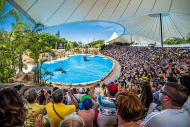 Loro Parque