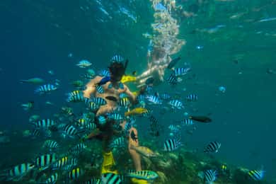 Lombok: Gili Nanggu, Sudak i Gili Kedis Private Snorkeling