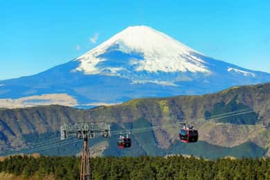 東京から：箱根日帰りツアーと芦ノ湖ボートクルーズ