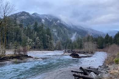 Olympic National Park: excursão de meio dia
