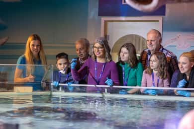 SEA LIFE Tour hinter den Kulissen