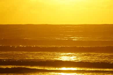 Au départ d'Essaouira : 2h de randonnée à cheval avec coucher de soleil