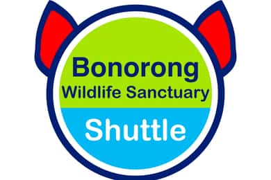Bonorong Wildlife Sanctuary Shuttle: Hobart Shore Excursion