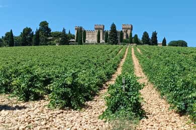 Aix-en-Provence: Avignon Tour & Chateauneuf-du-Pape smagning