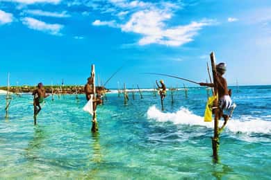 Galle Private Day Trip with River Safari & Stilt Fishermen