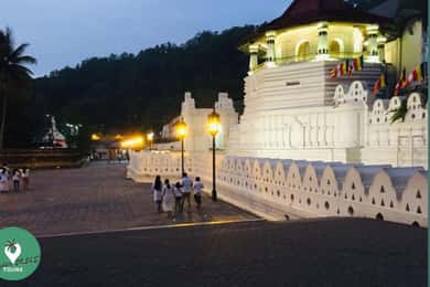 Kandy: City Explore with Local guide By Mini Van