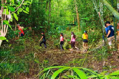 Puerto Vallarta: Vallarta's Botanical Garden by Sea or Land