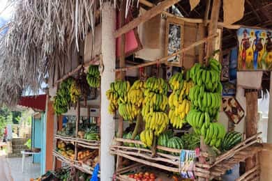 Punta Cana: Samana safari between waterfalls and beaches