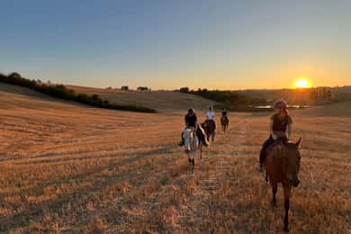 Siena: Paardrijden met Siena op de achtergrond