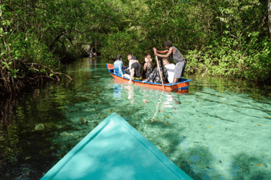 Punta Cana: Whale Watching, Cayo Levantado & Limón Waterfall