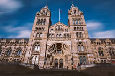 London: Geführte Tour durch das Naturhistorische Museum