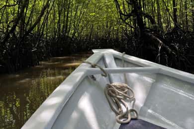 Langkawi: UNESCOs globale geopark Mangrove Cruise