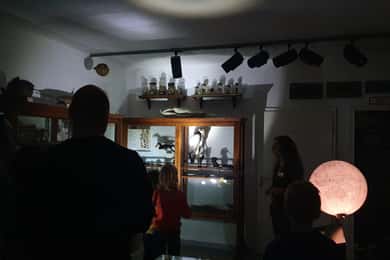 Lippisches Landesmuseum Detmold: Visita com lanterna Animais da noite